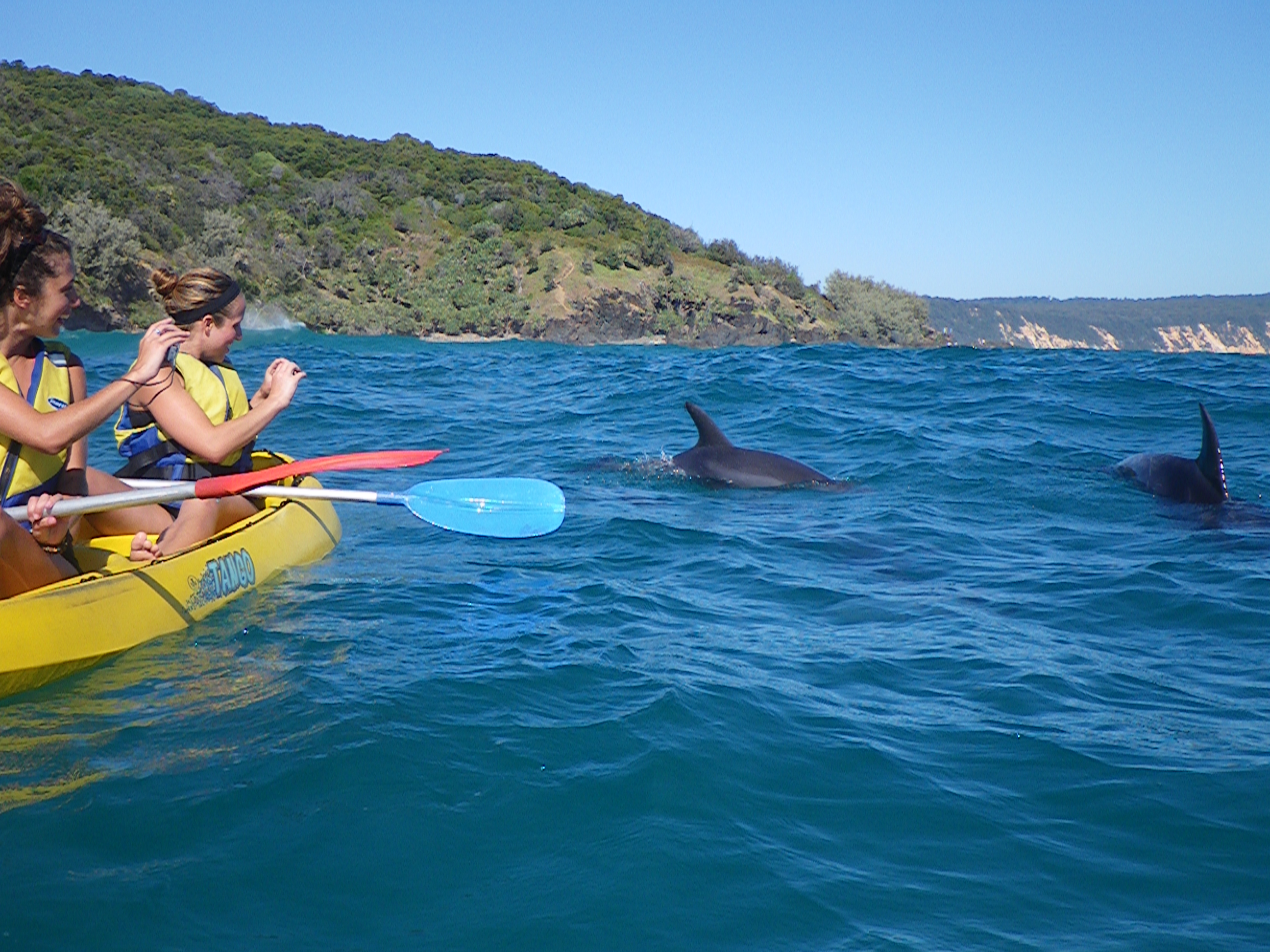 Noosa Dolphin Sea Kayak and 4X4 Beach Adventure Tour - Photo 1 of 5