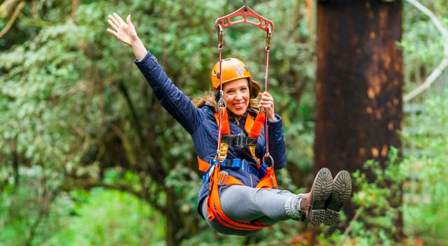 Otway Fly Treetop Adventures Treetop Walk - Photo 1 of 7