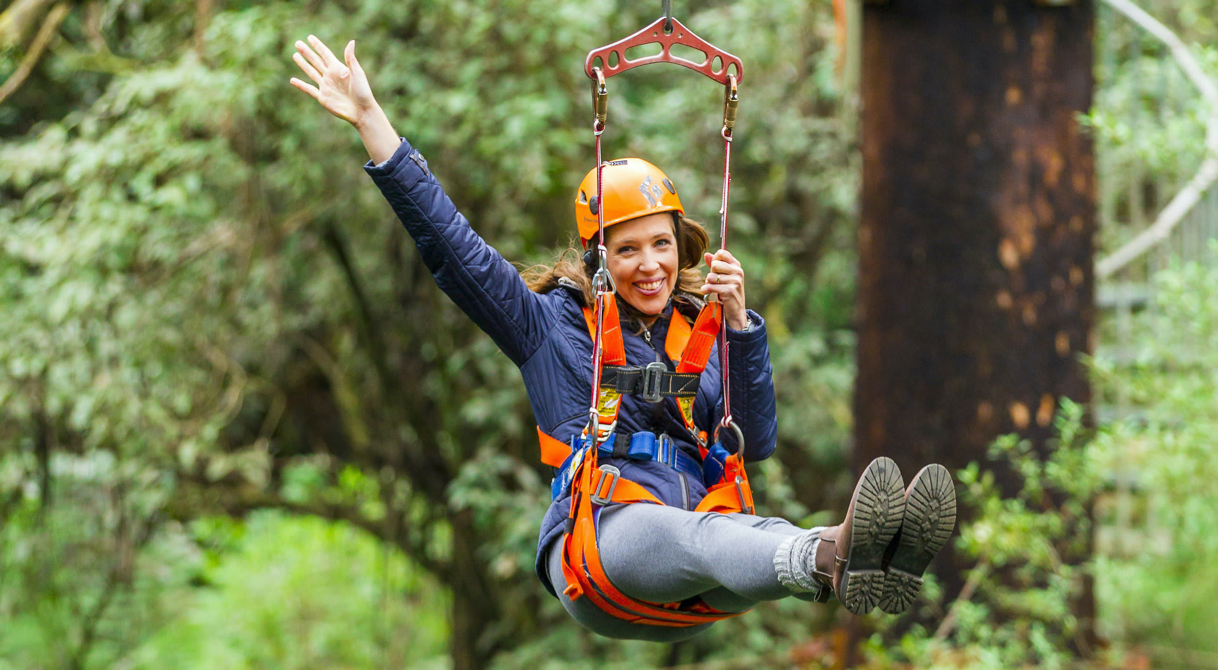 Otway Fly Treetop Adventures Treetop Walk - Photo 1 of 7