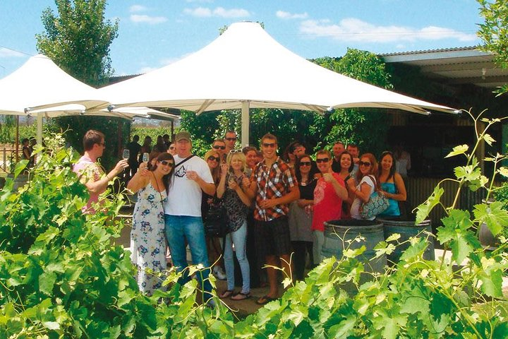 Wine Amongst the Vines