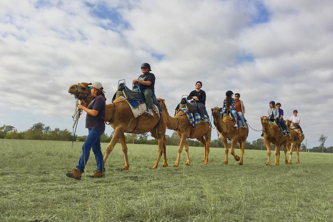 Outback Camel Farm Tour and Tasting - Private Tour - Photo 1 of 7