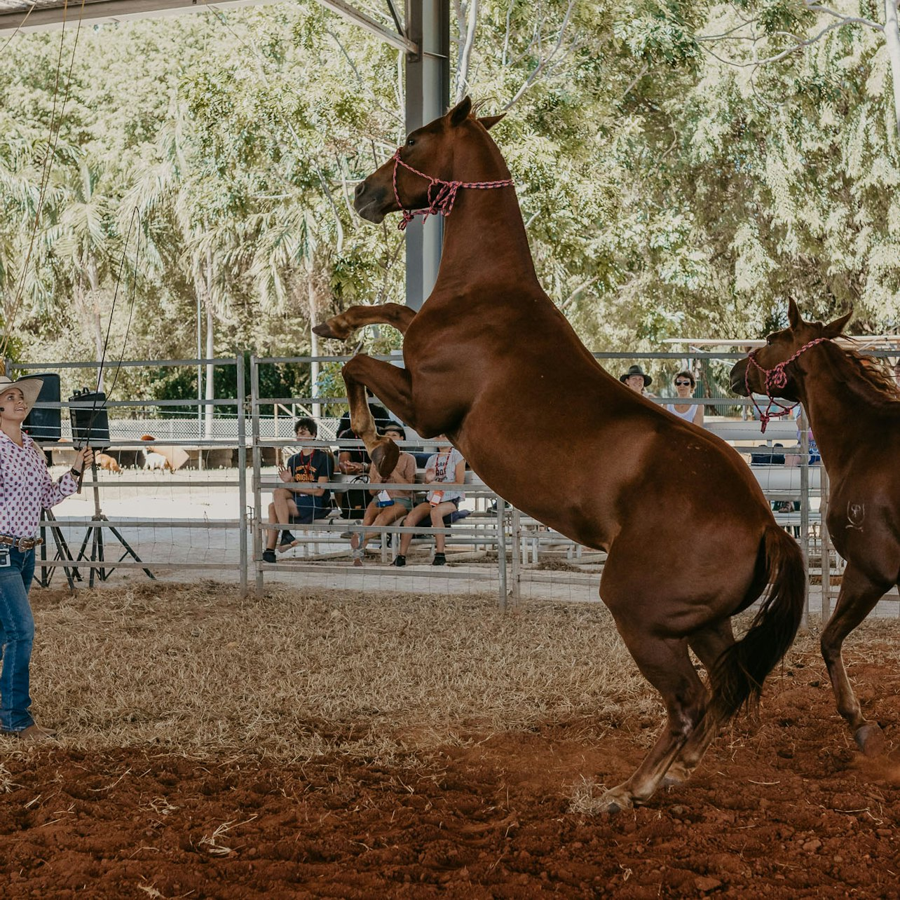 Outback Spectacular Show at Katherine Outback Experience - Photo 1 of 8