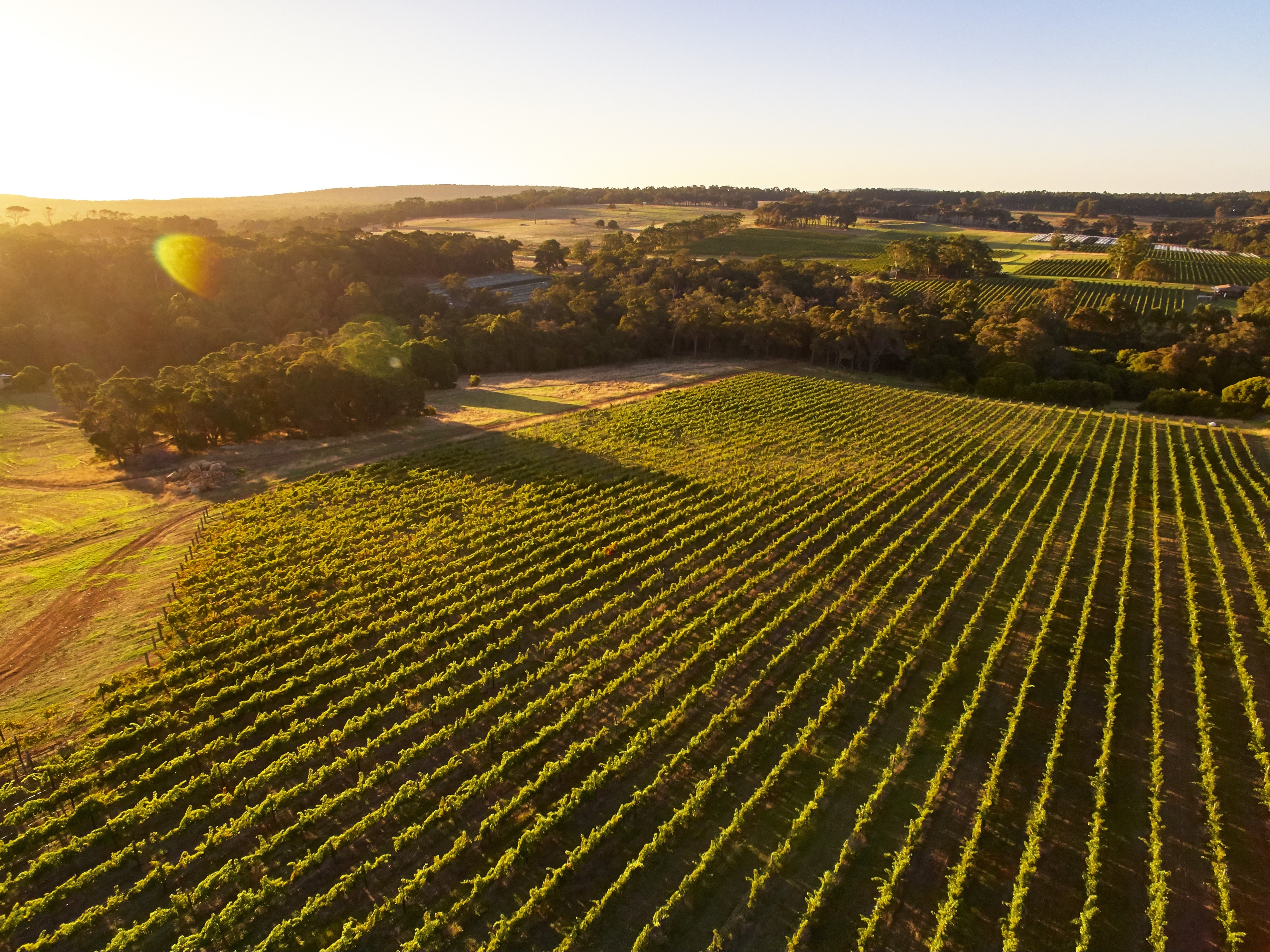 PAIR'D FESTIVAL PACKAGE - ULTIMATE WINERIES MICHELIN DINING - VASSE FELIX DINNER - Photo 1 of 10