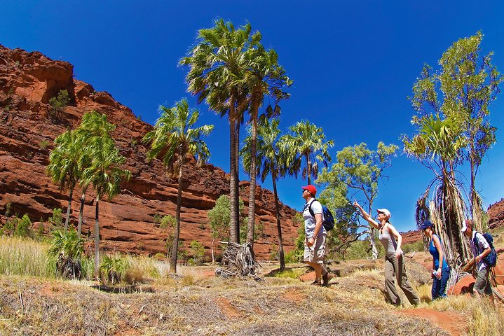 Palm Valley 4WD Tour from Alice Springs - Photo 1 of 6