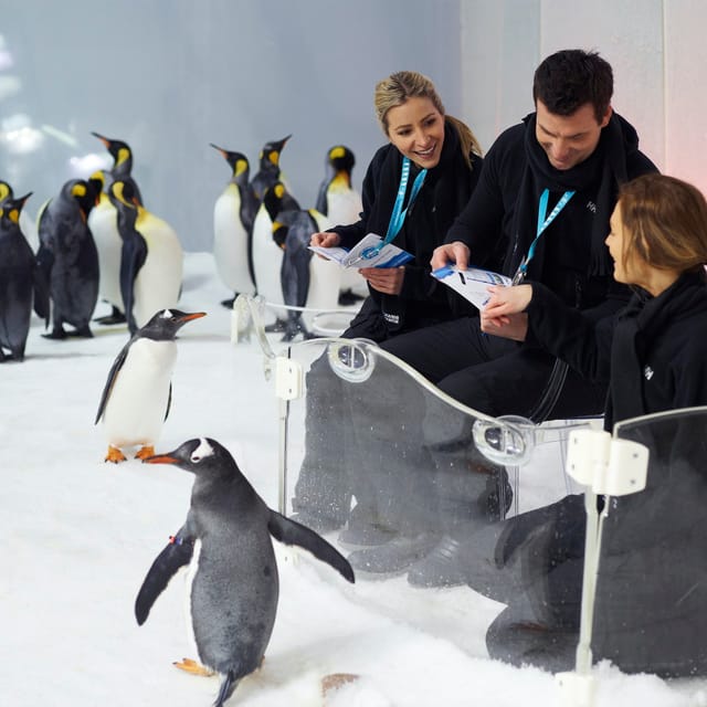 Penguin Passport Experience at SEA LIFE Melbourne - Photo 1 of 7