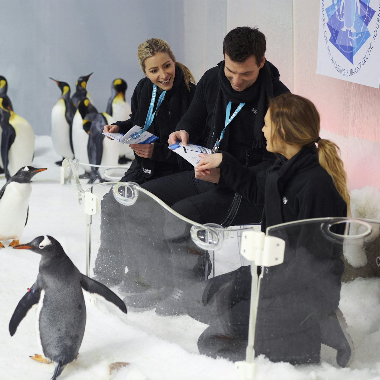 Penguin Passport Experience at SEA LIFE Melbourne - Photo 1 of 7