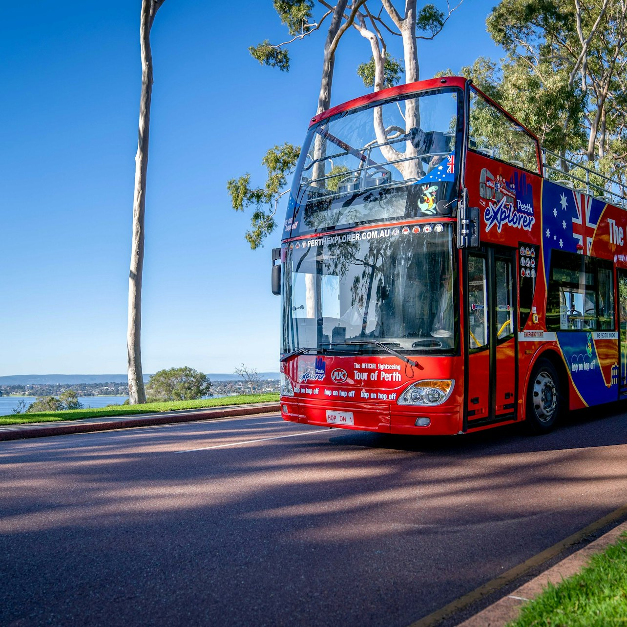 Perth and Kings Park: Hop-on-Hop-off Bus Tour - Photo 1 of 6