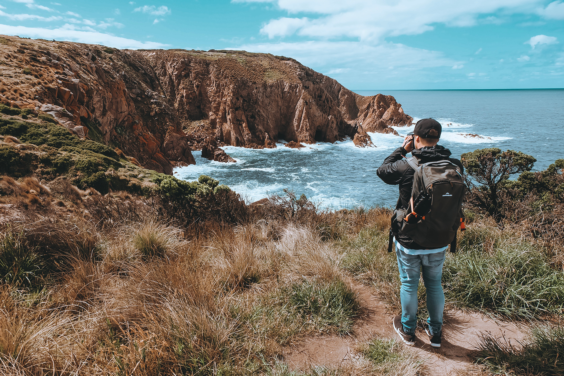 Phillip Island Hiking Tour to Penguin Parade and Koalas - Photo 1 of 10