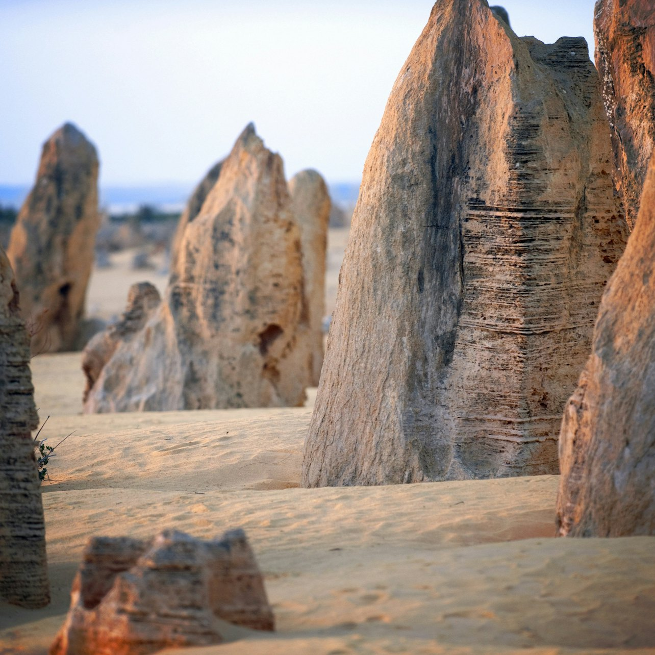 Pinnacle, Yanchep and Swan Valley Day Tour - Photo 1 of 3