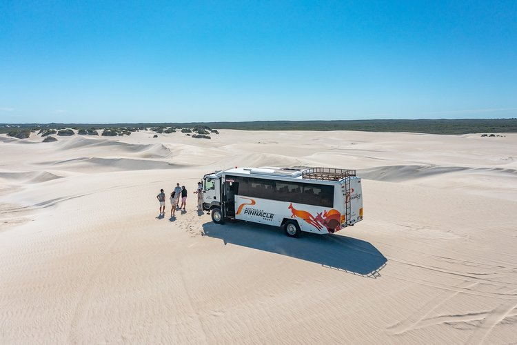 Pinnacles 4WD Adventure with Koalas and Sand Boarding Day Tour - Photo 1 of 3