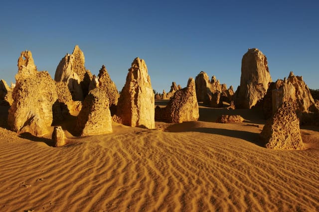 Full Day Pinnacles Desert, Yanchep and Swan Valley Tour - Photo 1 of 4