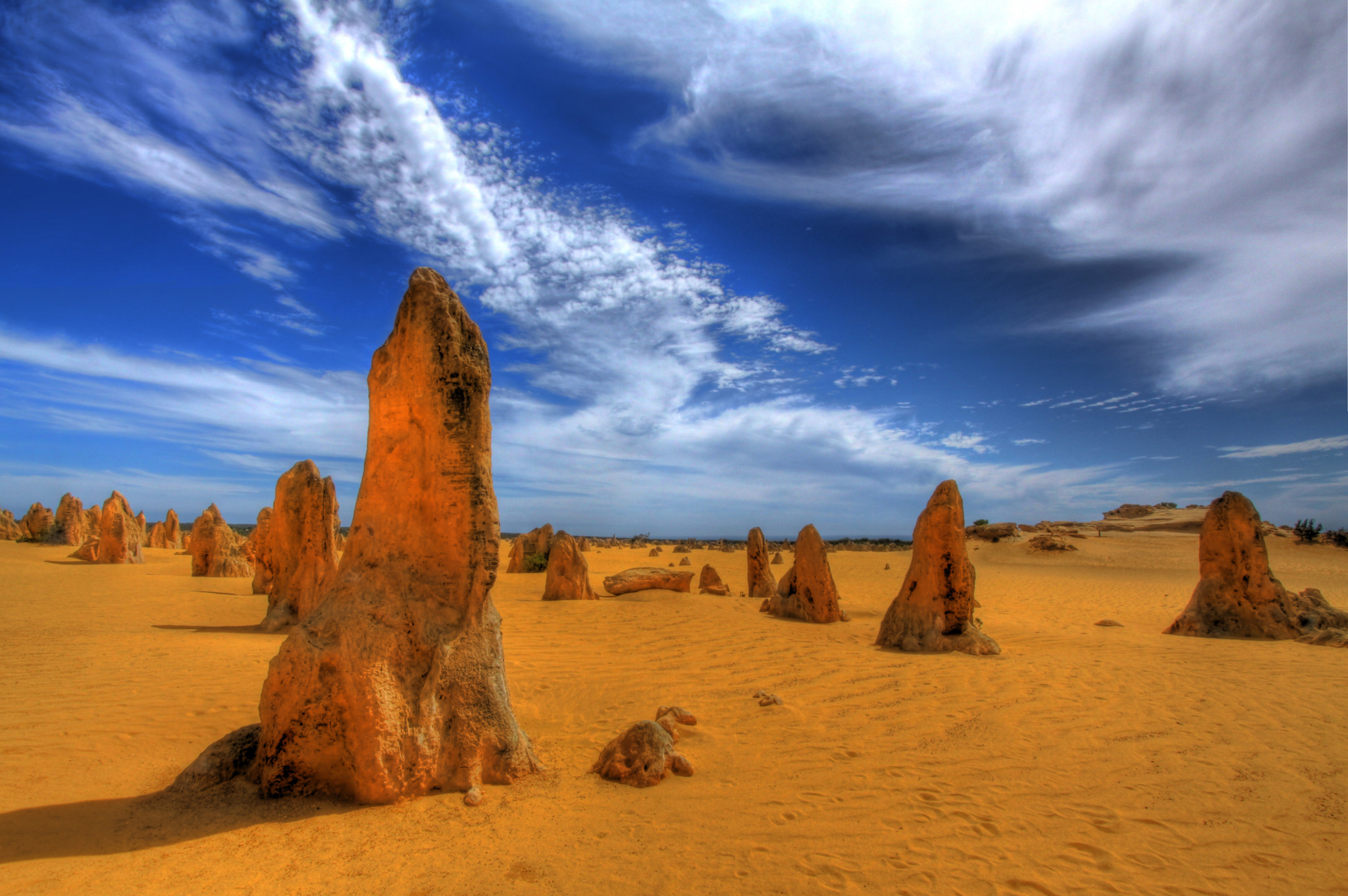 Pinnacles, Koalas and Sand Boarding 4WD Adventure Tour - Photo 1 of 8