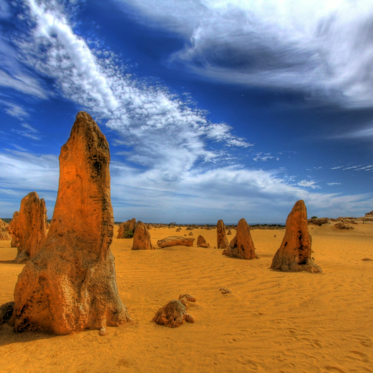 "Pinnacles, Koalas and Sand Boarding 4WD Adventure" - Photo 1 of 3