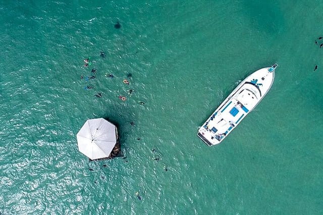 Private 2hr Seal swim Cruise Mornington Peninsula - Photo 1 of 5