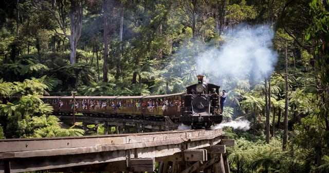 puffing-billy-wildlife-tour_1