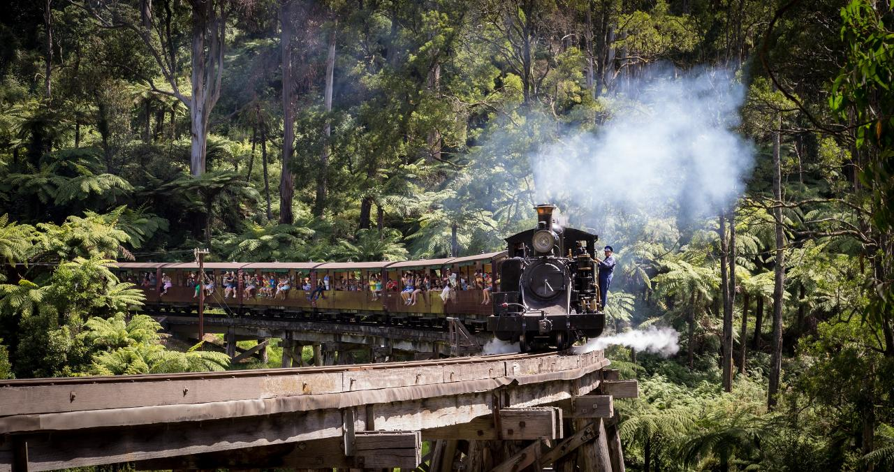 Puffing Billy & Wildlife Tour - Photo 1 of 9