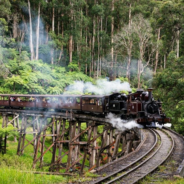 Puffing Billy Railway: Ride & Wildlife Tour + Transfers - Photo 1 of 5