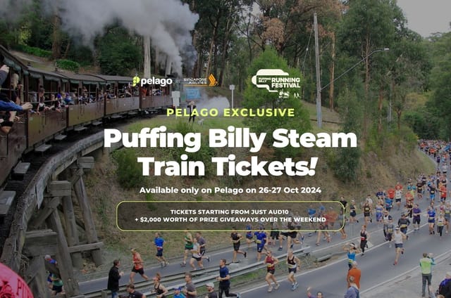 puffing-billy-railway-train-ticket-australia-pelago0.jpg