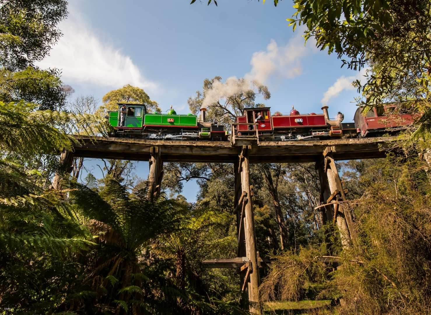 Puffing Billy Steam Railway & Phillip Island English Day Tour ｜ Melbourne - Photo 1 of 5