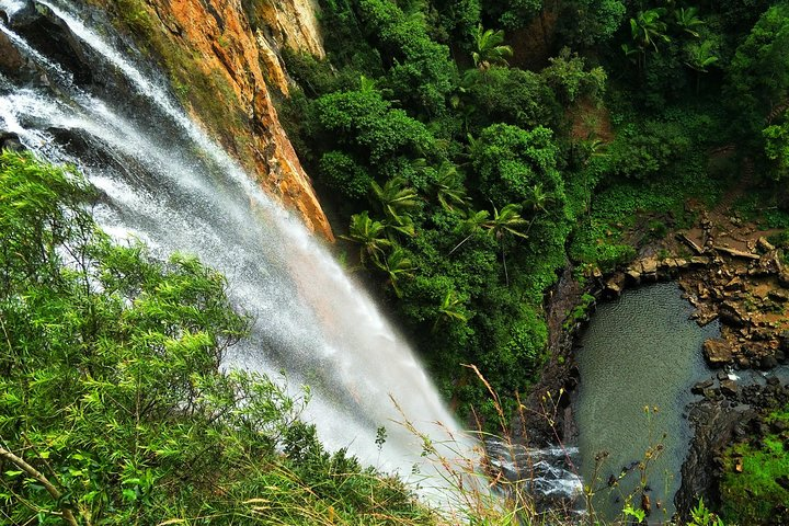 Rainforest & Waterfalls Experience - Photo 1 of 10