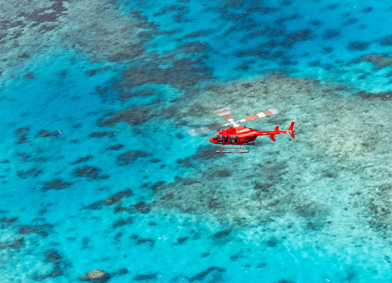 Reef and Rainforest Scenic Helicopter Flight ex Cairns - Photo 1 of 13