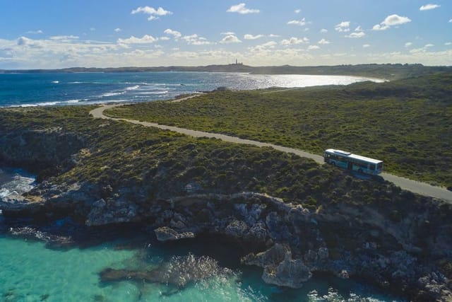 Bayseeker Island Tour of Rottnest Island (Ferry not included) - Photo 1 of 3