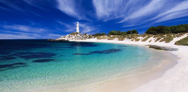 Grand Island Tour of Rottnest: 11.30 Departure (Ferry not included) - Photo 1 of 3