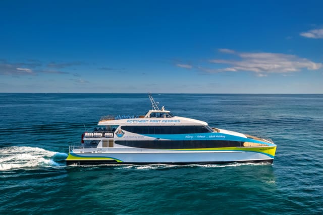 rottnest-rottnest-fast-ferries-best-of-rotto_1