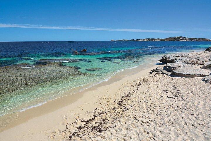 Rottnest Island Bayseeker Tour  - Photo 1 of 6