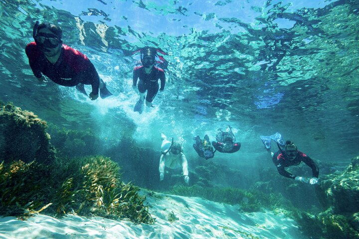 Rottnest Island Guided Snorkel Boat Experience - Photo 1 of 14