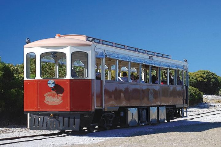 Rottnest Island Oliver Hill Train & Tunnel Tour - Photo 1 of 6