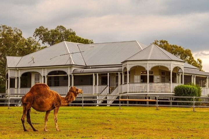 Tour a unique farm