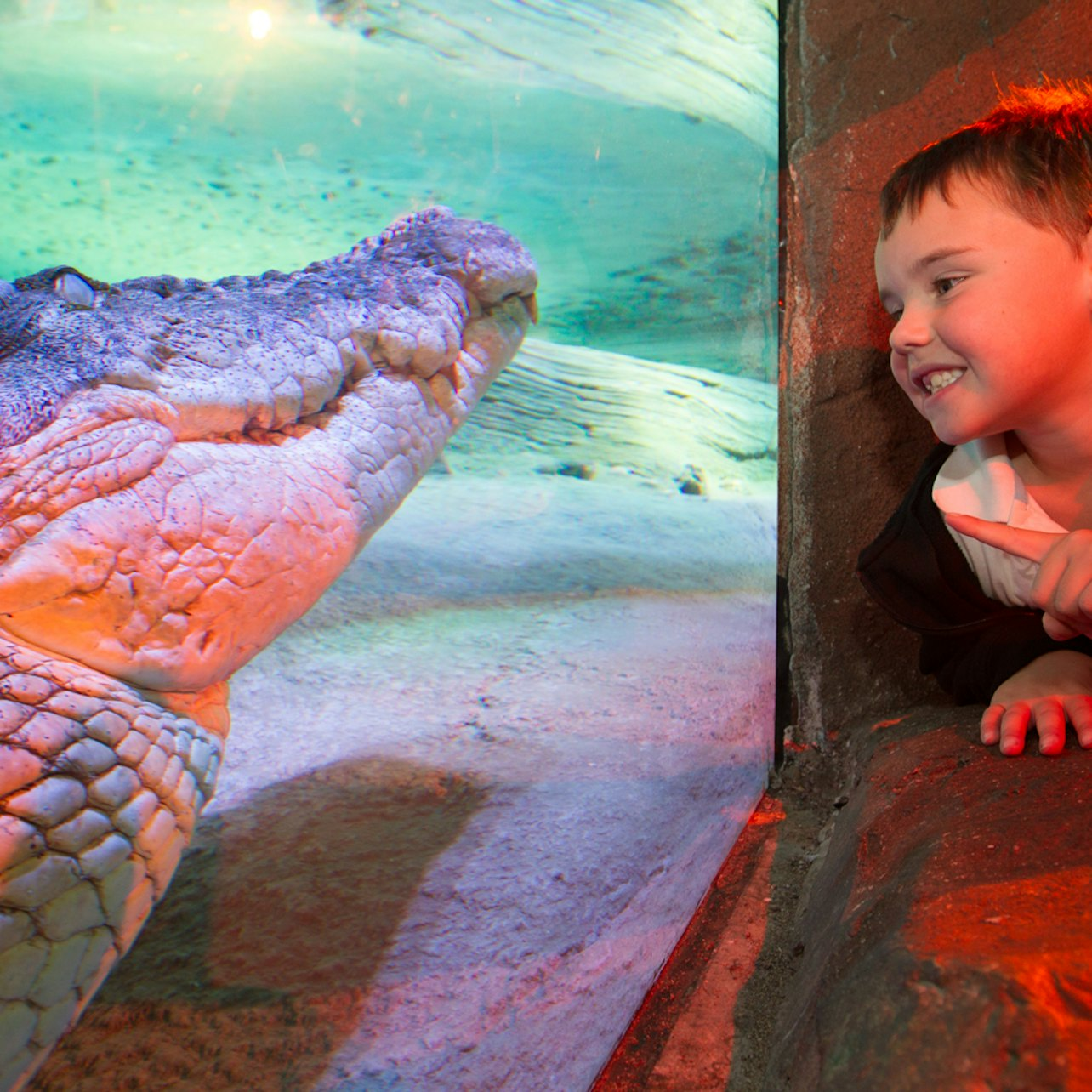 SEA LIFE Melbourne & LEGOLAND® Discovery Centre Combo Ticket - Photo 1 of 7