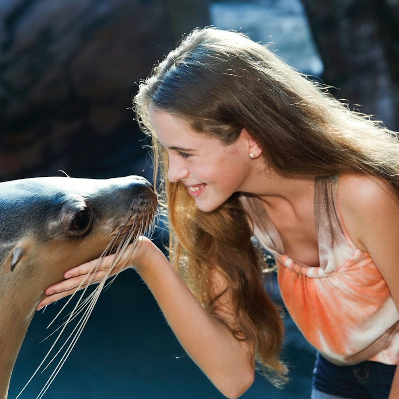 Seal Swim at SEA LIFE Sunshine Coast - Photo 1 of 3