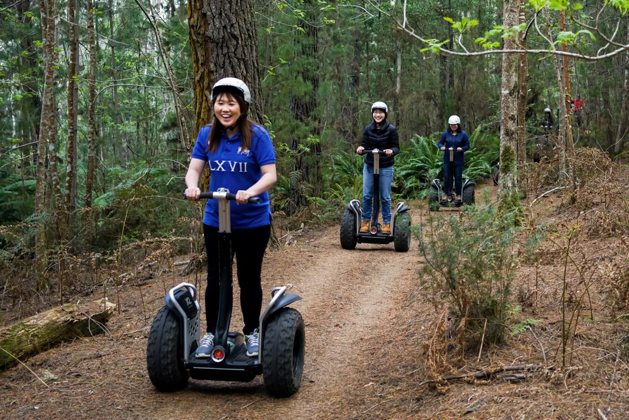 Segway Tour - Photo 1 of 3