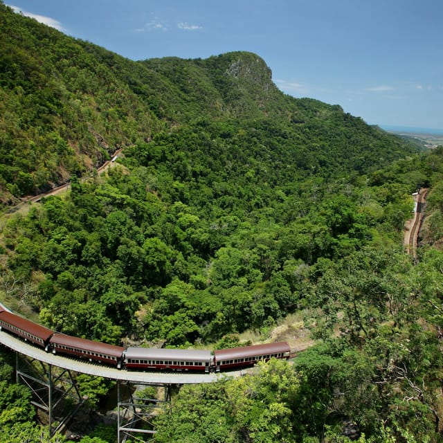 Self-Drive Kuranda Experience: Skyrail Rainforest Cableway & Scenic Rail - Photo 1 of 7