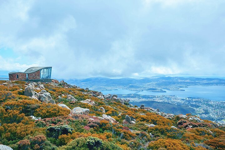 Shore Excursion-Hobart Wanderer - Photo 1 of 9