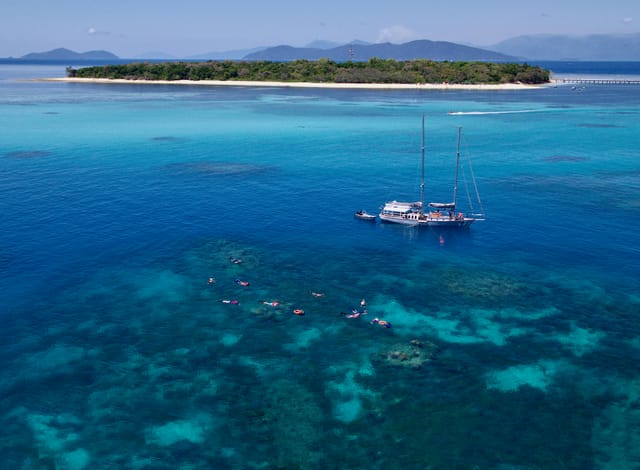 Ocean Free Ocean Freedom Cruise | Snorkel | Snorkelling | Great Barrier Reef | Green Island | Cairns | Australia | Pelago