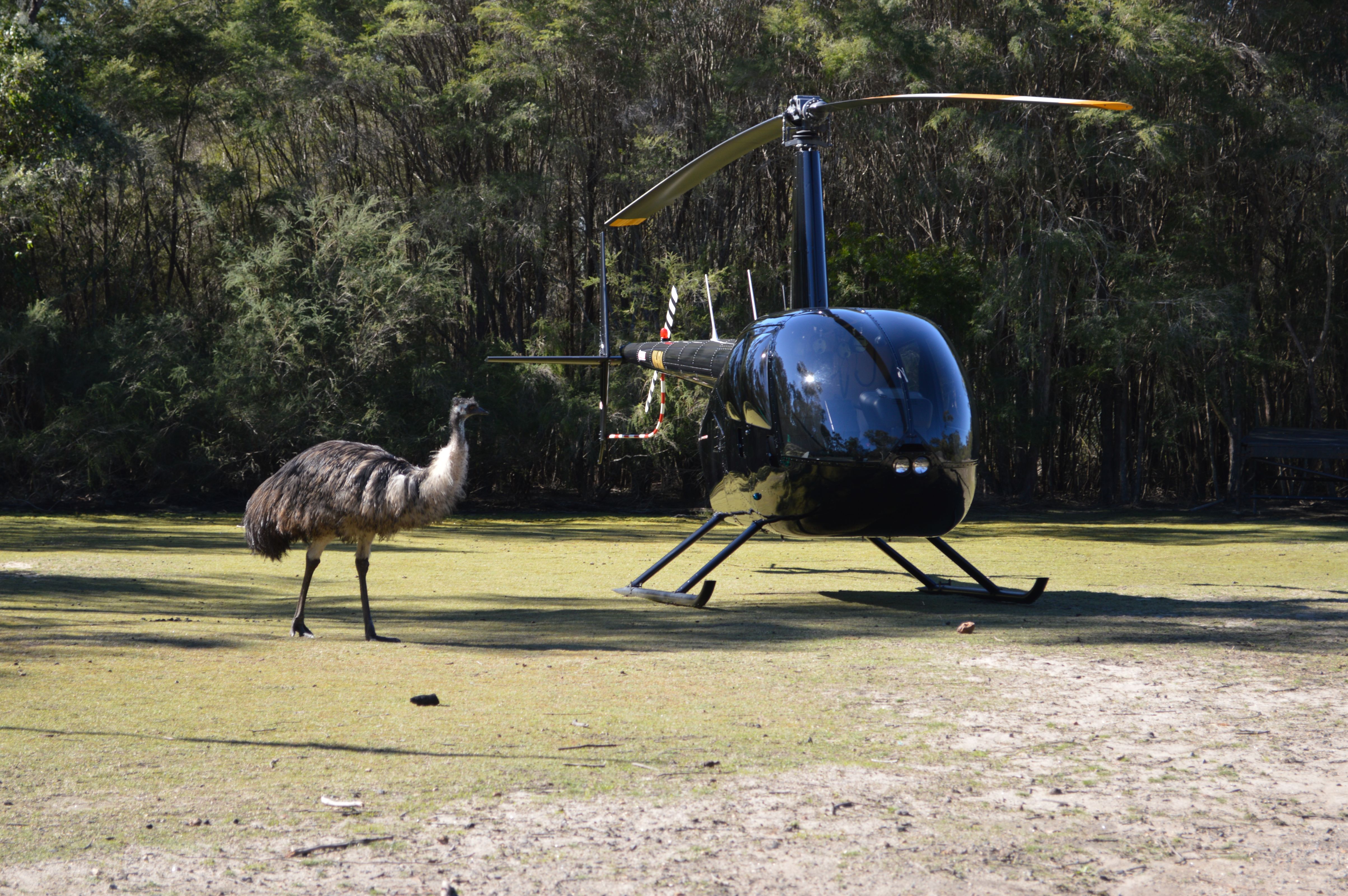 Blue Mountains Menyoroti Penerbangan Helikopter - Photo 1 of 7