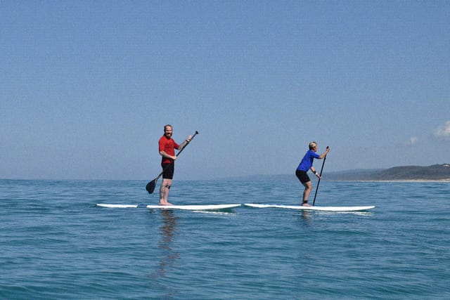 Stand Up Paddle Wildlife Tour & Beach 4x4 Day Trip- Noosa - Photo 1 of 11