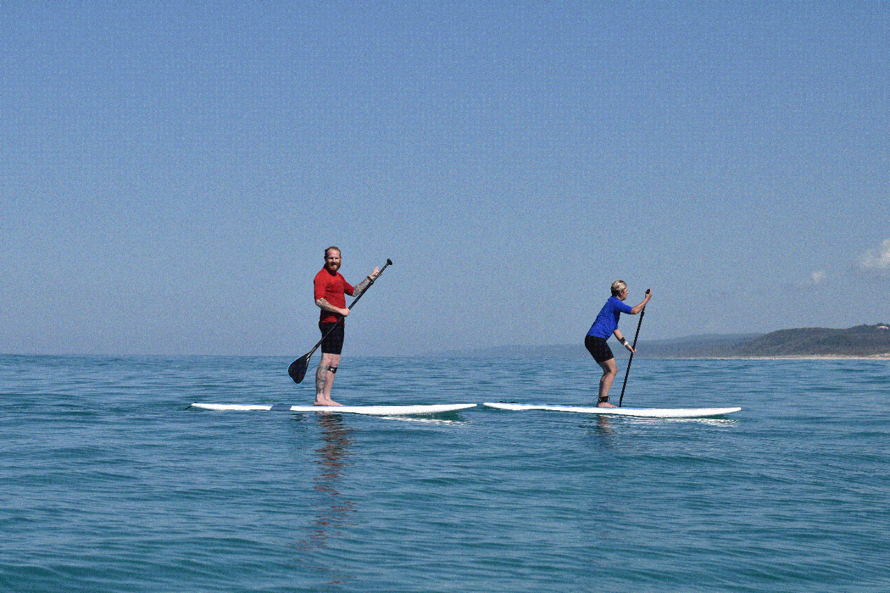 Stand Up Paddle Wildlife Tour & Beach 4x4 Day Trip- Noosa - Photo 1 of 11