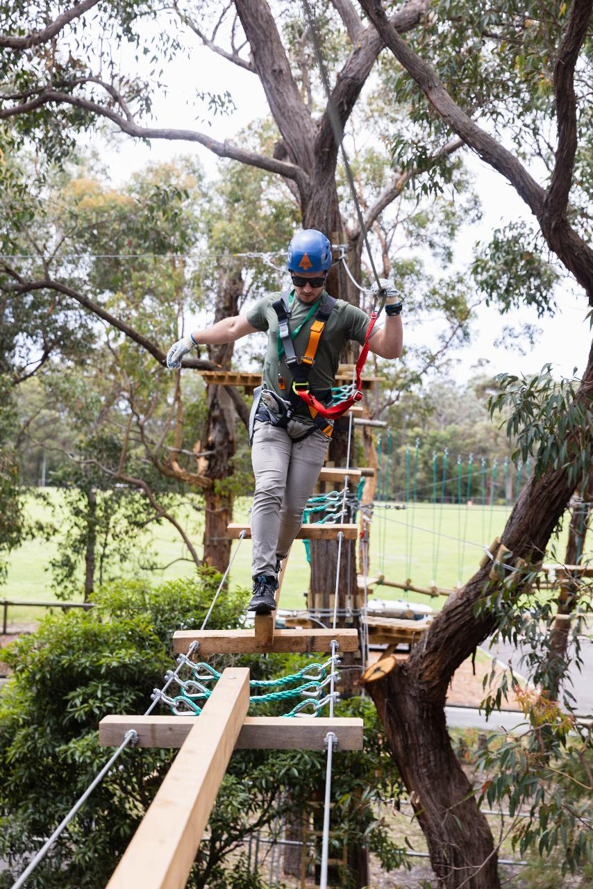 Treetops Adventure St Ives Standard Session (2.5hr) - Photo 1 of 4