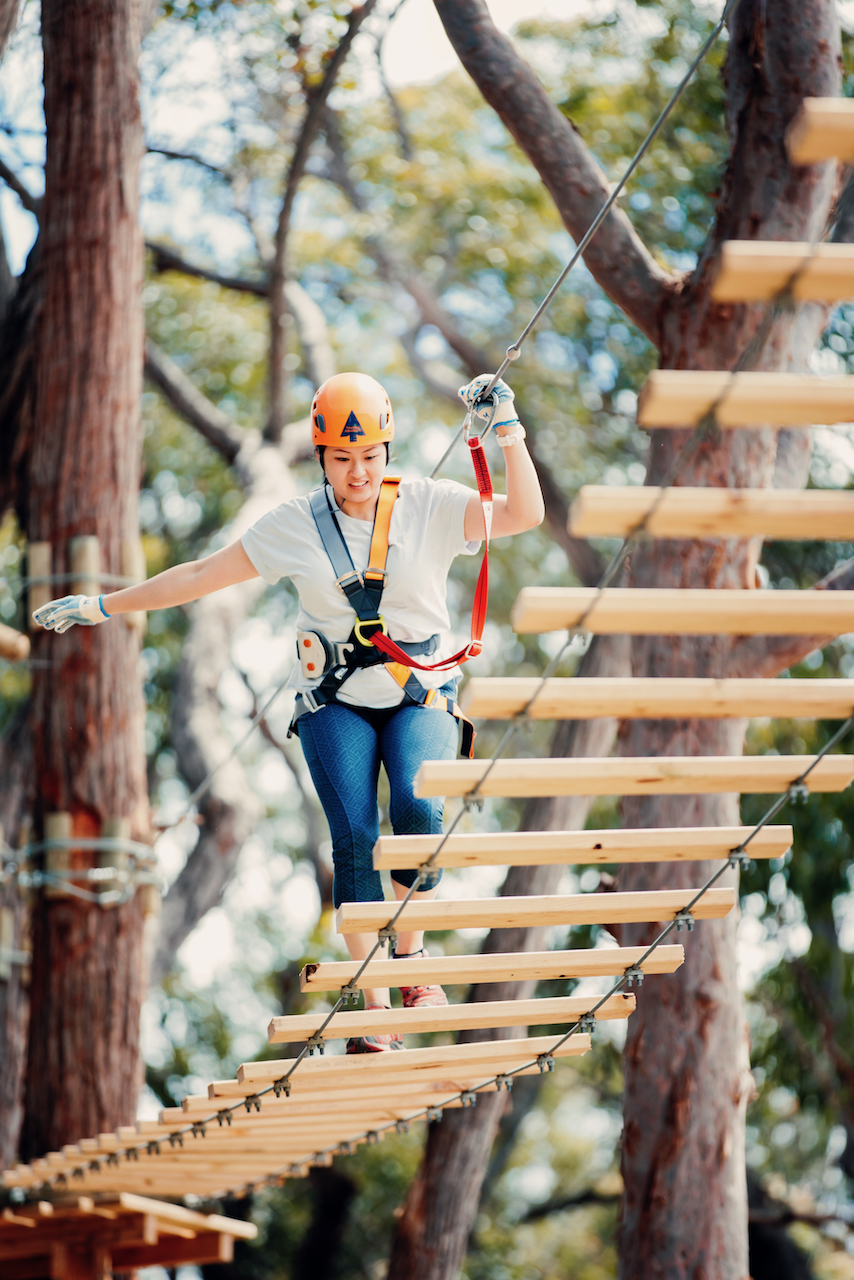 Treetops Adventure Nowra: 2.5hr Session - Photo 1 of 5