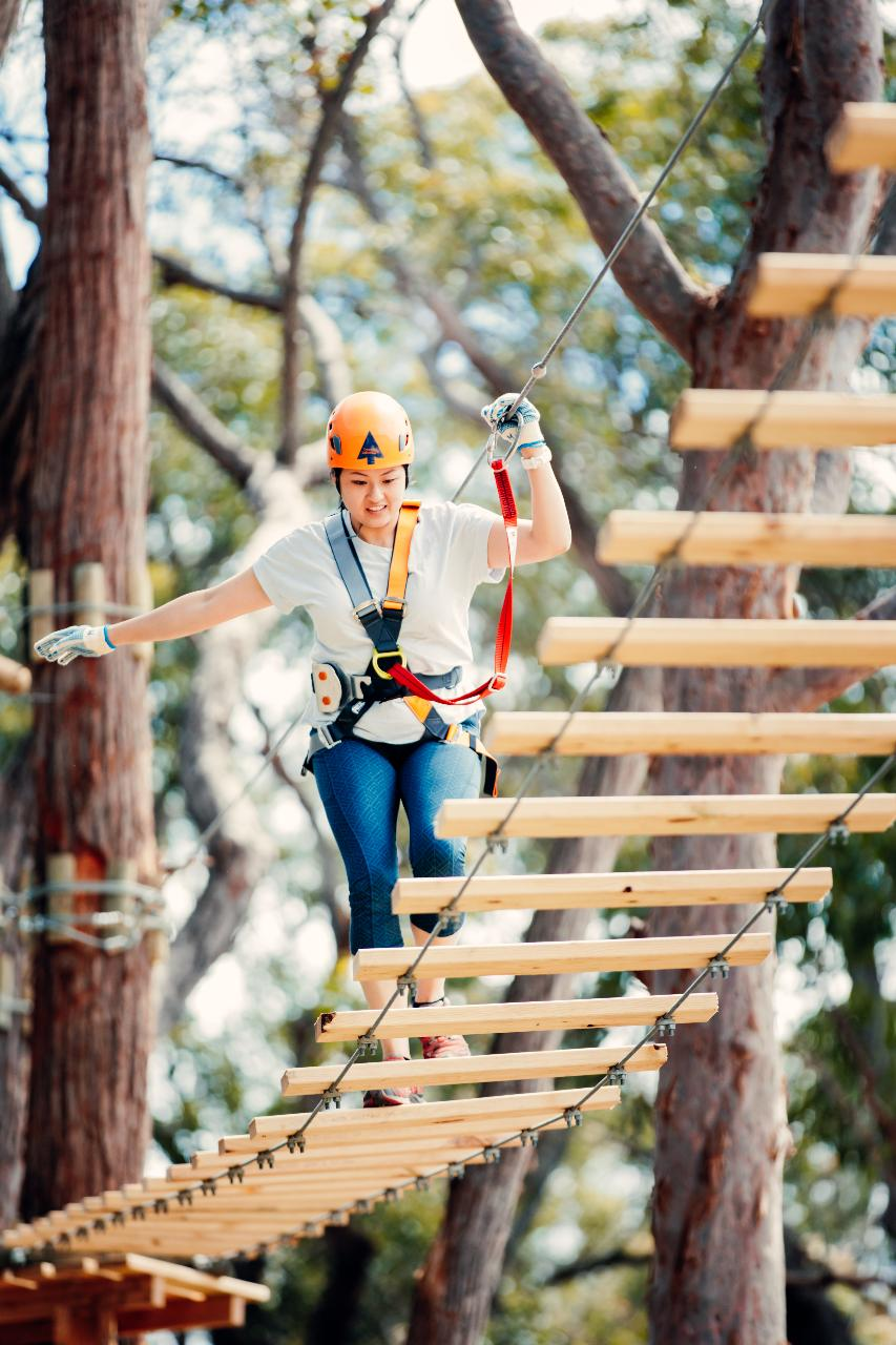 Treetops Adventure The Hills Standard Session (2.5hrs) - Photo 1 of 2