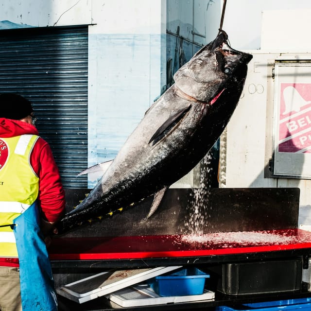 Sydney Fish Market: Behind-the-Scenes Auction Floor Tour - Photo 1 of 7