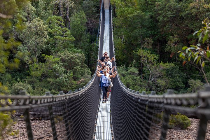 Swinging Bridges @ Tahune Airwalk