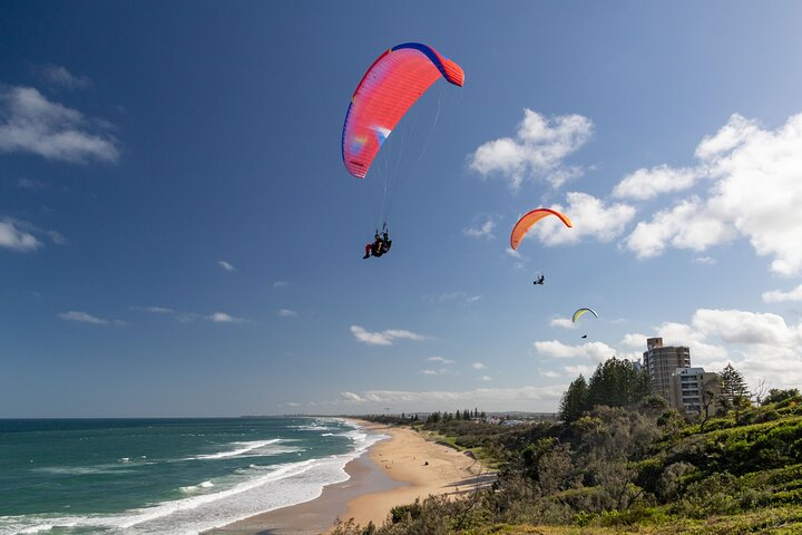 Tandem Views from Point Cartwright