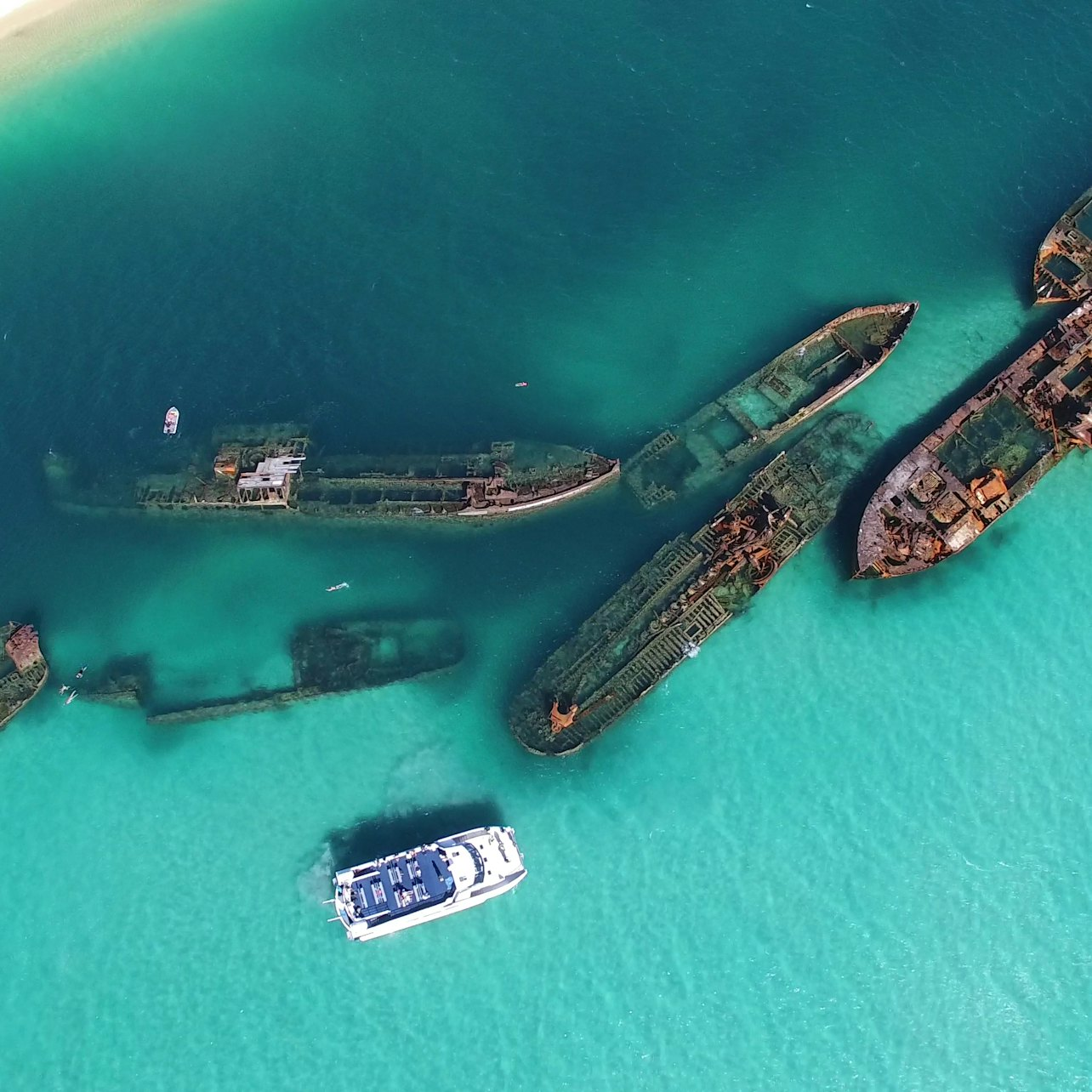 Tangalooma Wrecks & Dolphin Cruise from Brisbane - Photo 1 of 6