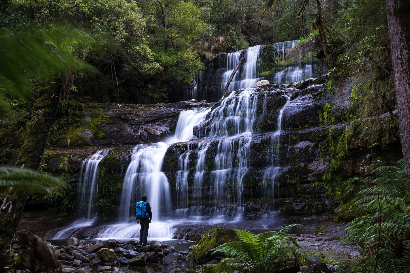 Tasmania Exclusive 4-Day Sea Fishing Tour - Photo 1 of 7