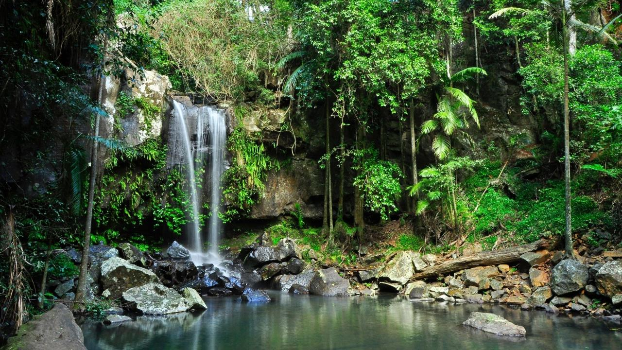 Tastes of Tamborine Mountain Tour - Photo 1 of 5